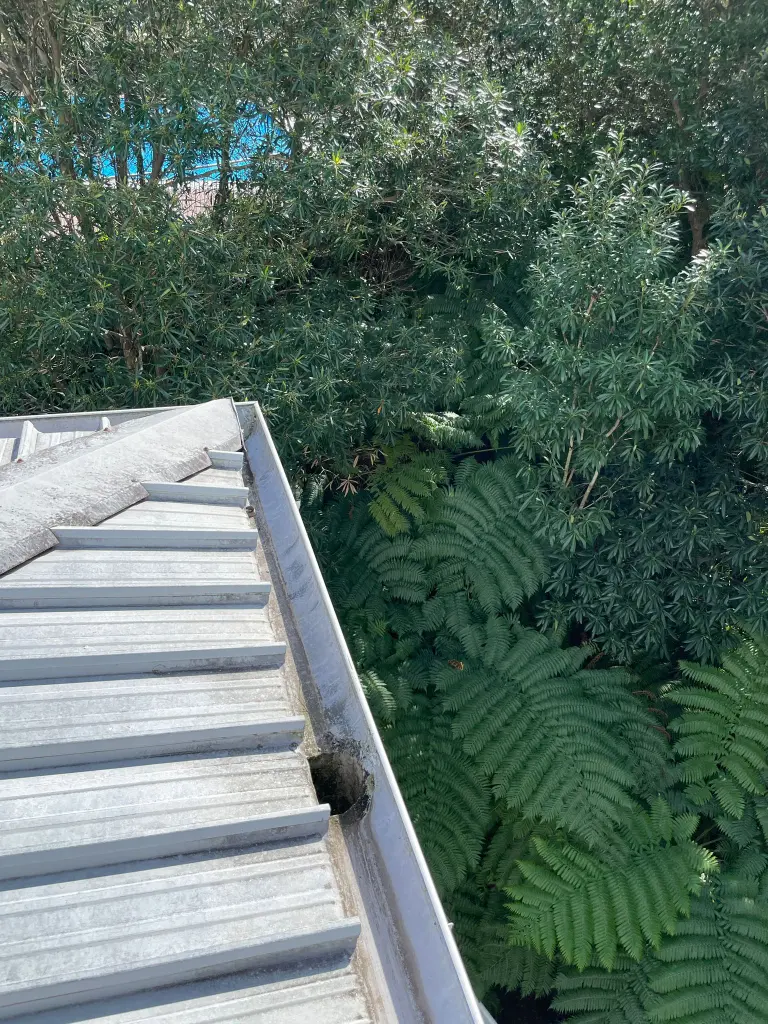 WhatsApp Image 2025-05-13 at 02.01.57_8bd6425d