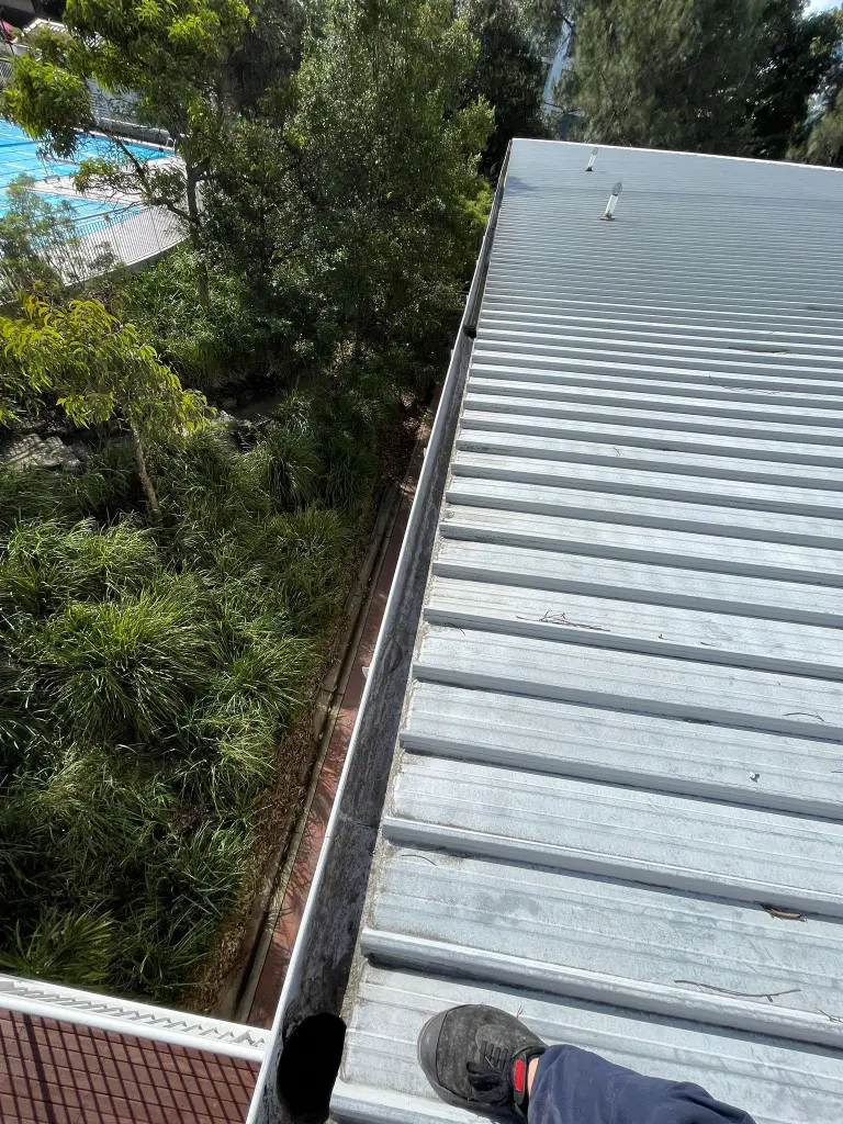 WhatsApp Image 2025-05-13 at 02.01.59_5120de5b