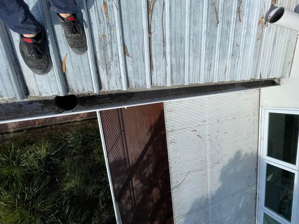 WhatsApp Image 2025-05-13 at 02.01.59_8df05d6d