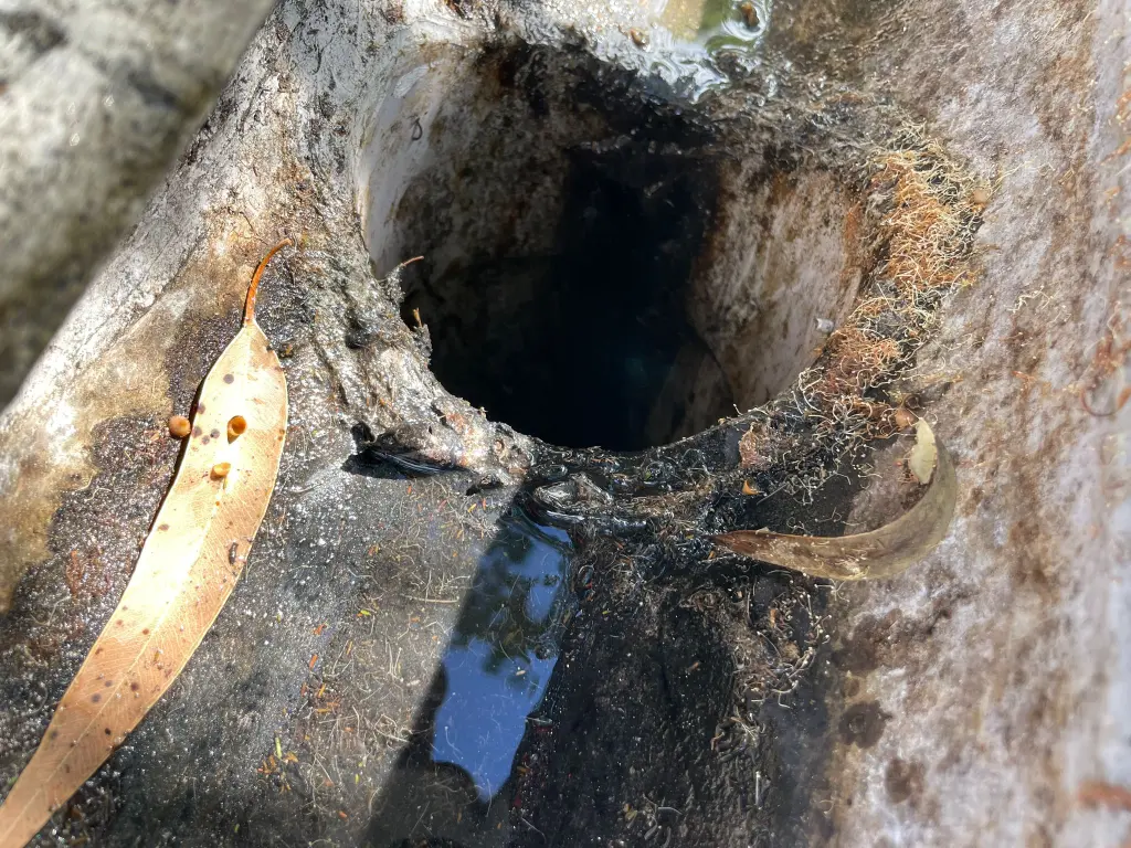 WhatsApp Image 2025-05-13 at 02.02.00_18deec6b