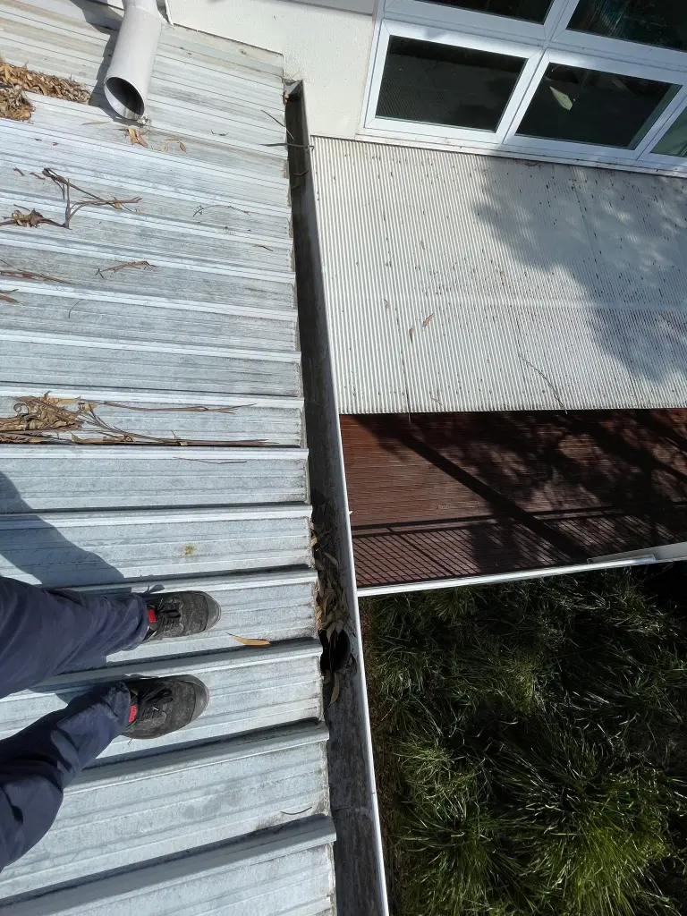 WhatsApp Image 2025-05-13 at 02.02.00_92941699