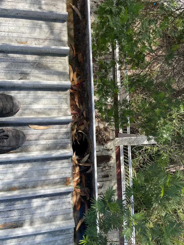 WhatsApp Image 2025-05-13 at 02.02.00_a0919e18