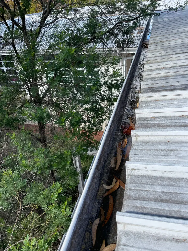 WhatsApp Image 2025-05-13 at 02.02.01_a54c1da3