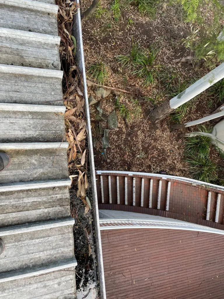 WhatsApp Image 2025-05-13 at 02.02.04_1664eea9