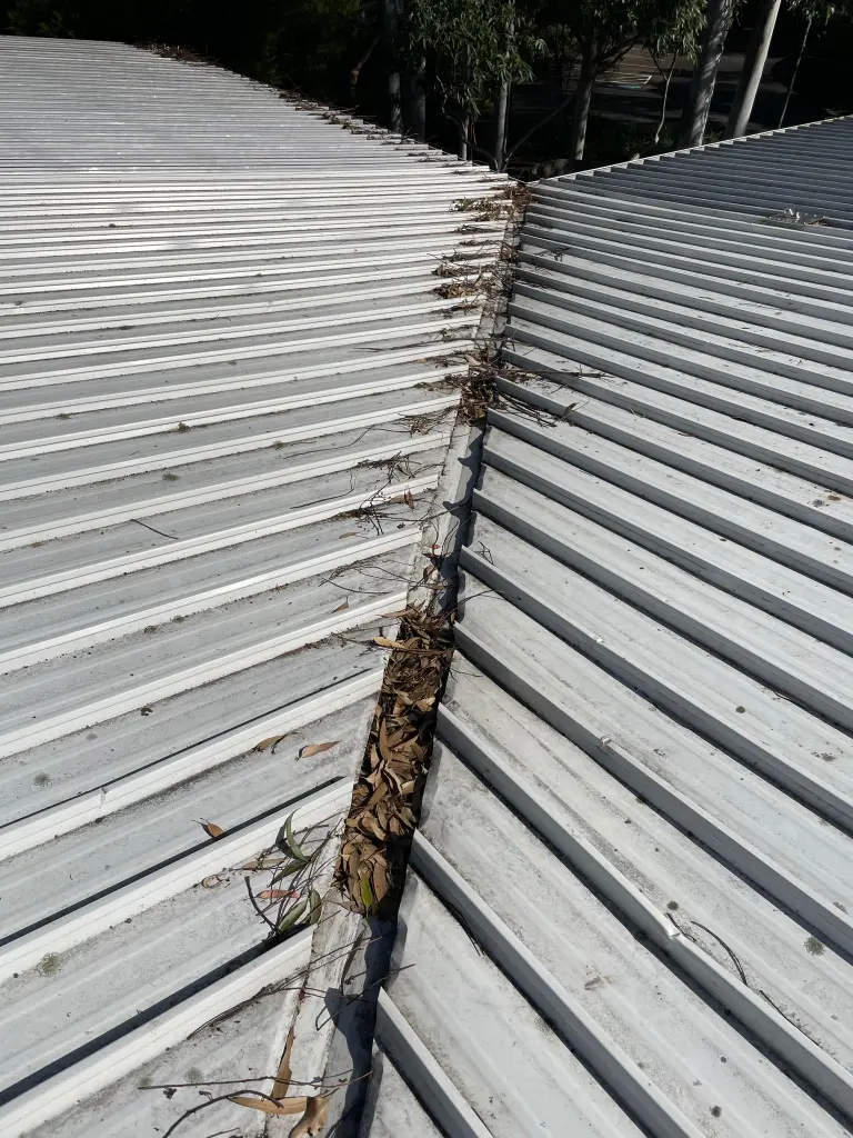 WhatsApp Image 2025-05-13 at 02.02.05_a3199b24