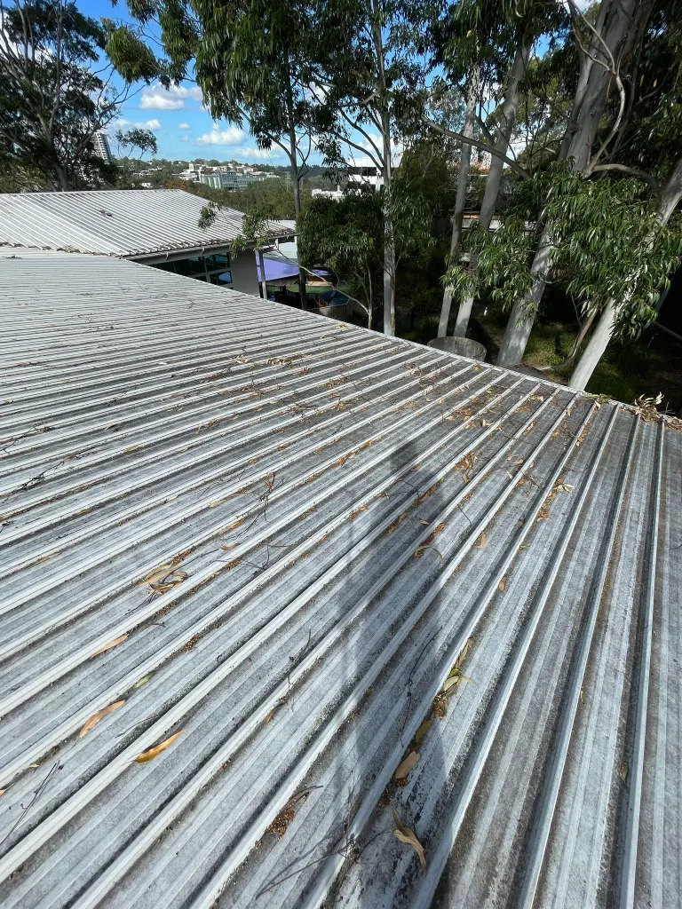 WhatsApp Image 2025-05-13 at 02.02.06_ac1214e3