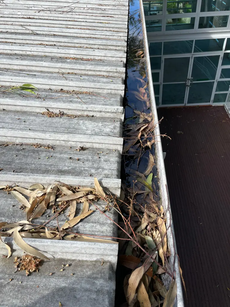 WhatsApp Image 2025-05-13 at 02.02.06_f1761506