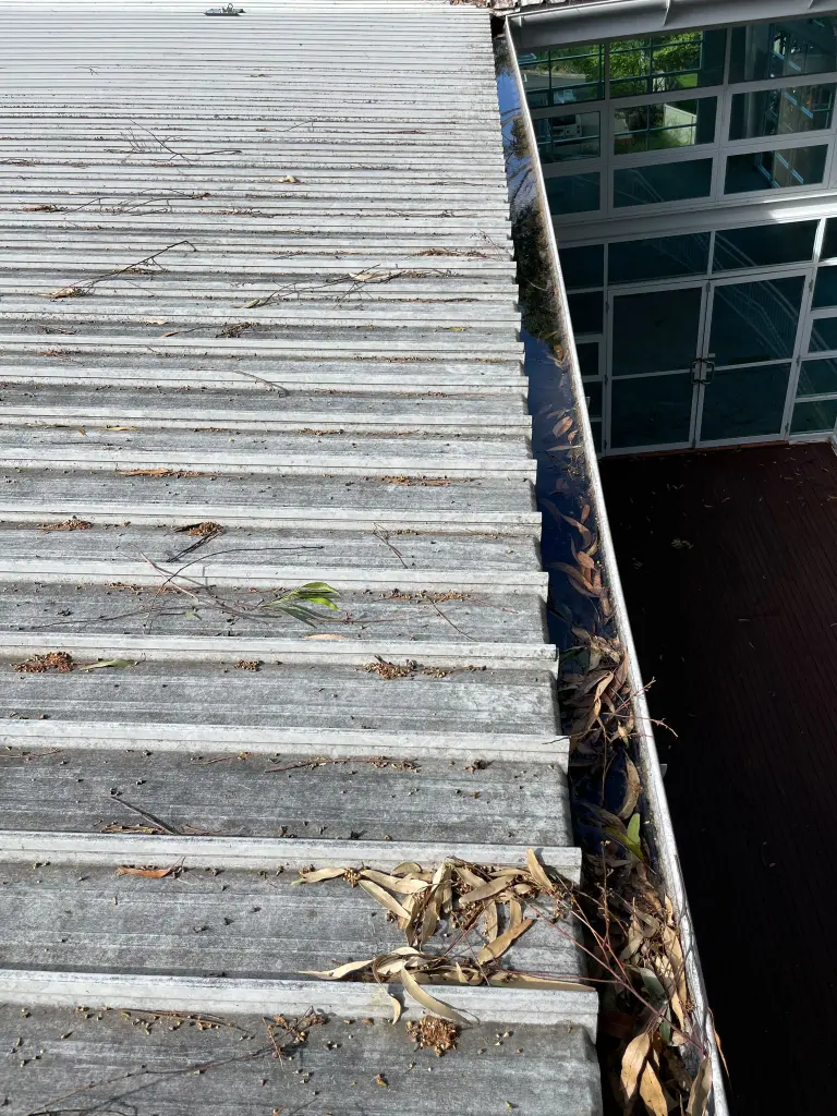 WhatsApp Image 2025-05-13 at 02.02.07_1e7d618a