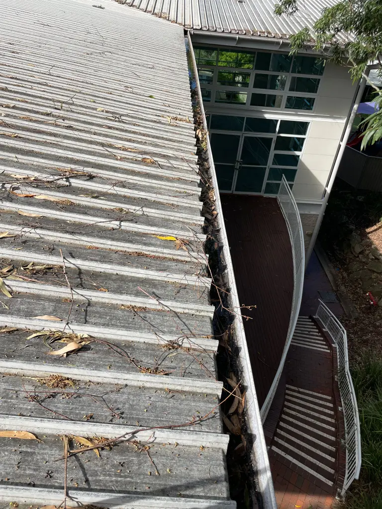 WhatsApp Image 2025-05-13 at 02.02.08_ddd1f471