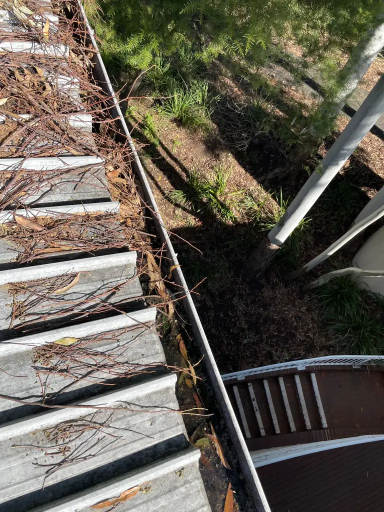 WhatsApp Image 2025-05-13 at 02.02.09_4c230ed1