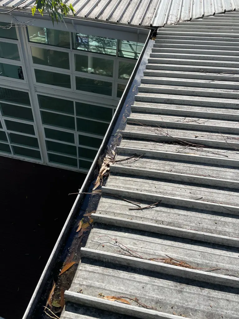 WhatsApp Image 2025-05-13 at 02.02.09_6e690058