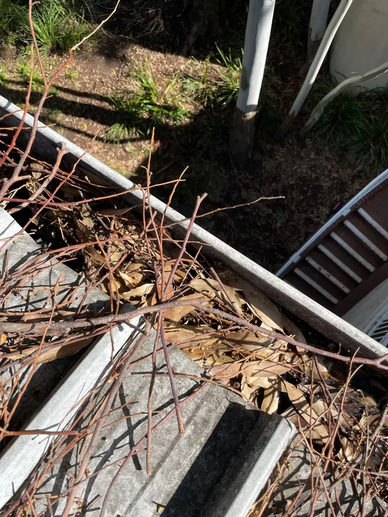 WhatsApp Image 2025-05-13 at 02.02.09_b2b9900f