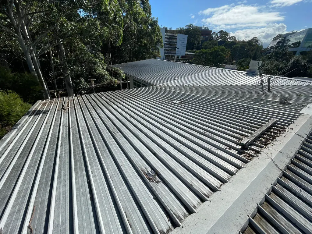 WhatsApp Image 2025-05-13 at 02.02.10_649b8f54