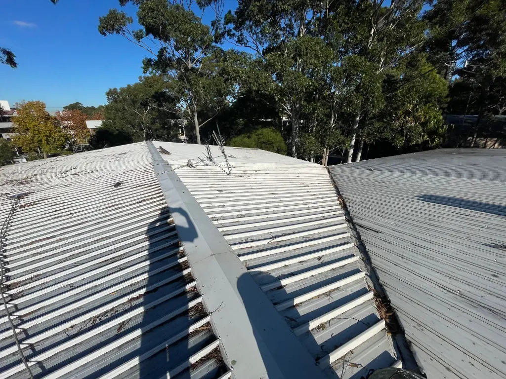 WhatsApp Image 2025-05-13 at 02.02.10_7d5247d6