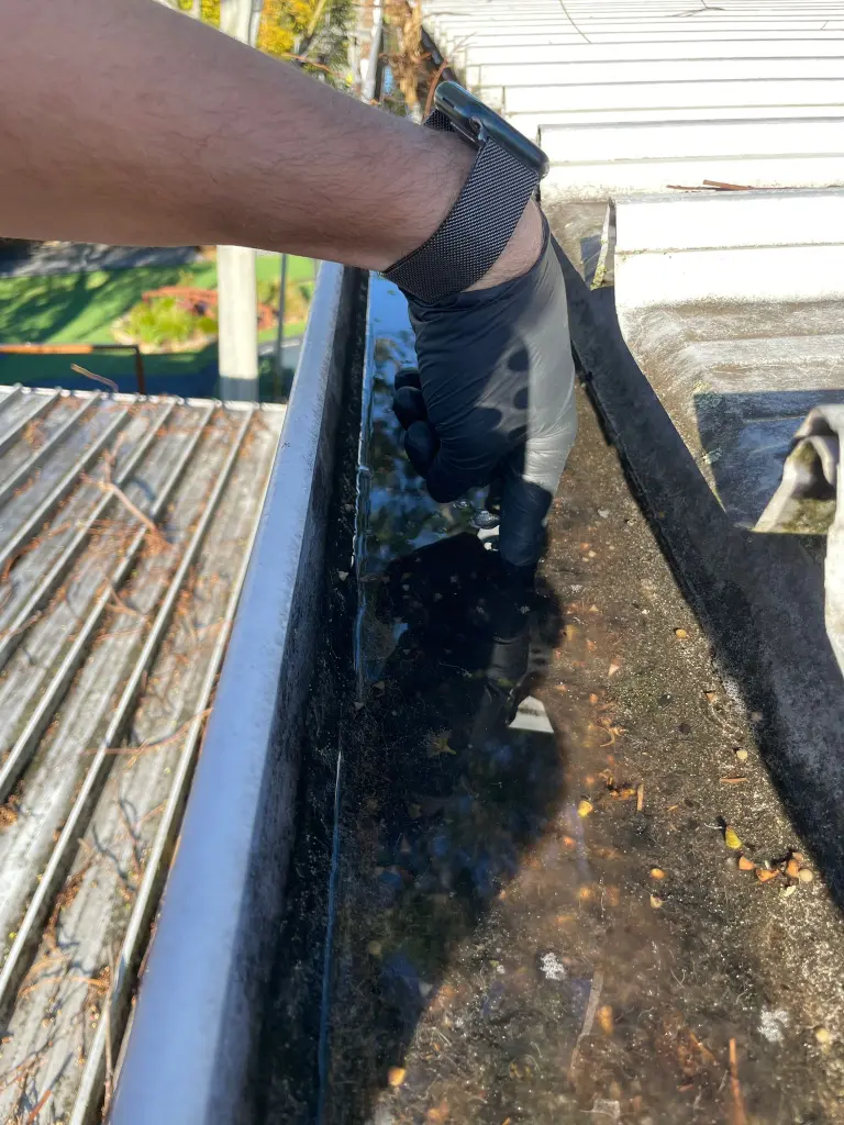 WhatsApp Image 2025-05-13 at 02.02.10_e59fc05d