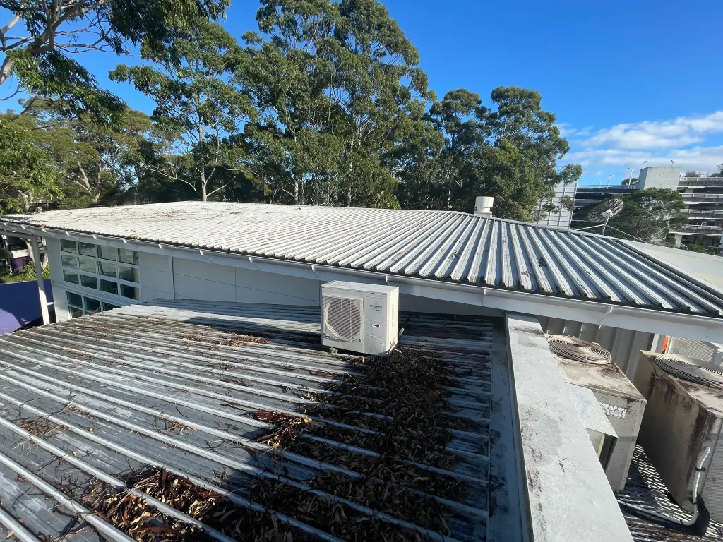 WhatsApp Image 2025-05-13 at 02.02.11_8050ec7f