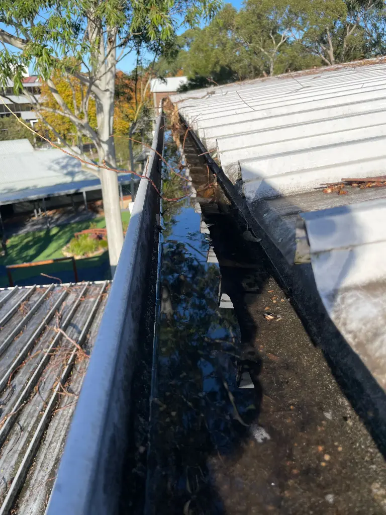 WhatsApp Image 2025-05-13 at 02.02.11_80eb46cf