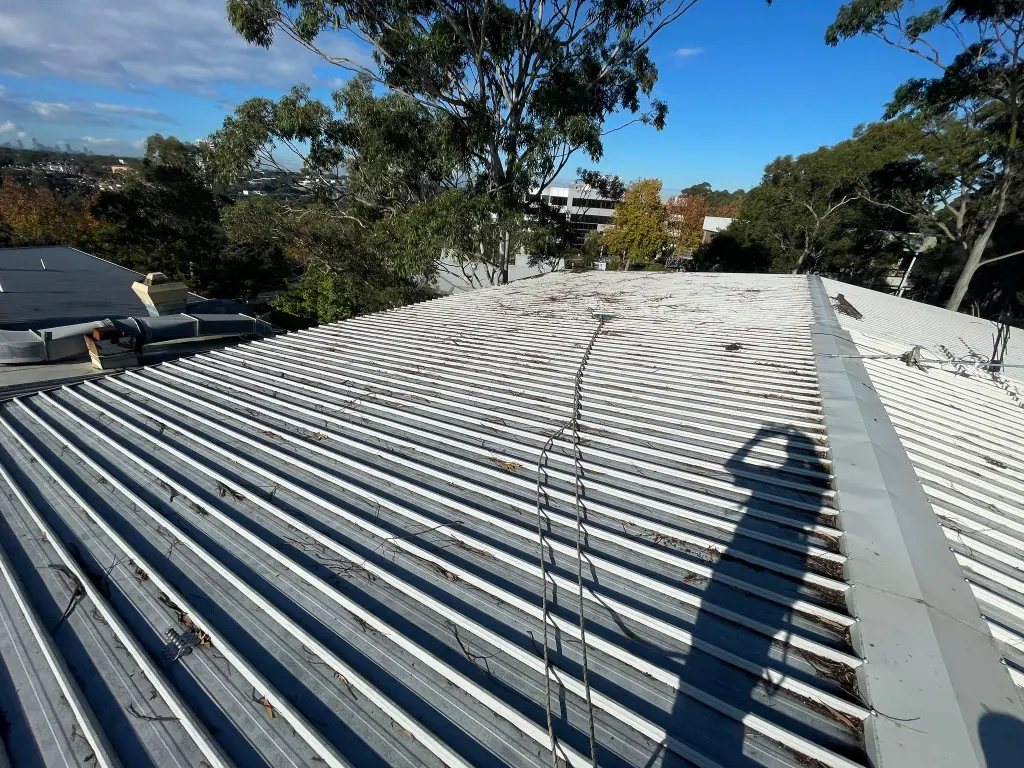 WhatsApp Image 2025-05-13 at 02.02.11_daafdc08