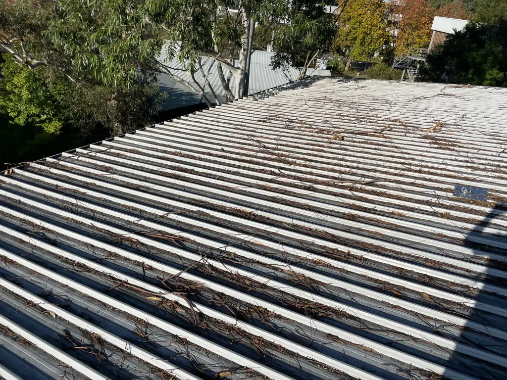 WhatsApp Image 2025-05-13 at 02.02.12_86ede9b2