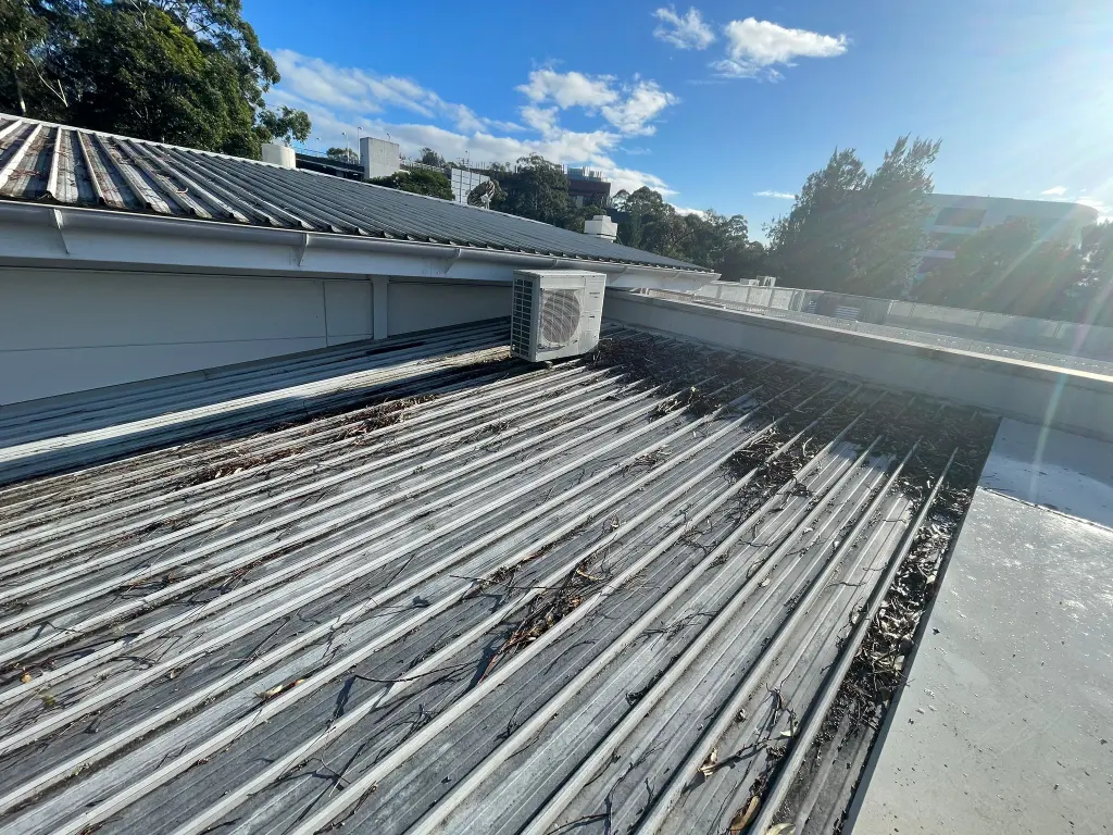 WhatsApp Image 2025-05-13 at 02.02.12_ede8c205