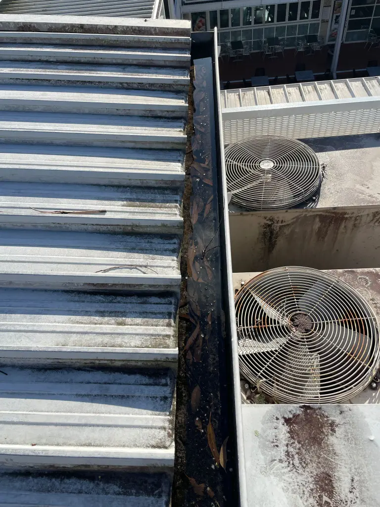 WhatsApp Image 2025-05-13 at 02.05.08_ac805c62