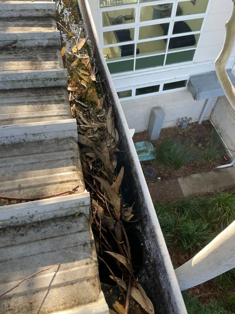 WhatsApp Image 2025-05-13 at 02.05.09_0ab60e22