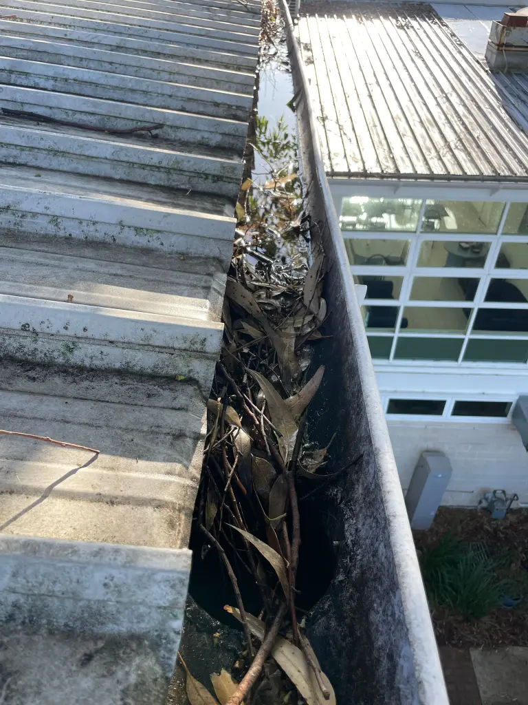 WhatsApp Image 2025-05-13 at 02.05.10_46748a4b